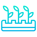 Plants icon