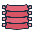 Ribs icon