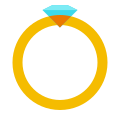 Ring von der Seite icon