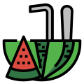 Watermelon icon