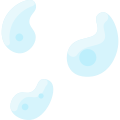 Amoeba icon