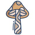 Magic Mushroom icon