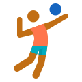 joueur-de-volley-ball-skin-type-4 icon