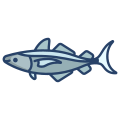 Pollock Fish icon