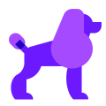 贵宾犬 icon