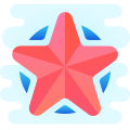 Estrela do exército icon