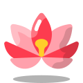 Lotus icon