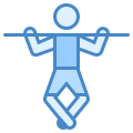 Pullups icon