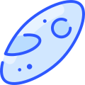 Microorganism icon