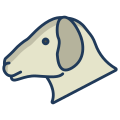 Sheep icon