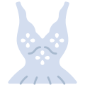 Wedding Dress icon