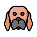 Vizsla icon