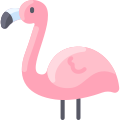 Flamingo icon