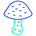 Wild Mushroom icon