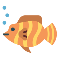 Butterfly Fish icon