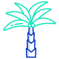 Date Palm icon