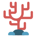Coral Reef icon