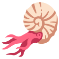 Ammonite icon
