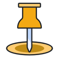 PIN icon