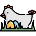 Chicken icon