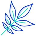 Ash Leaf icon