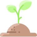 Sprout icon