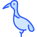 Crane icon