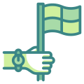 Offside Flag icon