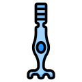 photoreceptor cell icon