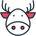 Christmas icon