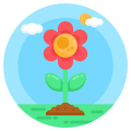 Spring icon