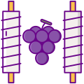 Grape icon