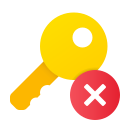 Remove Key icon