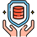 Data Protection icon