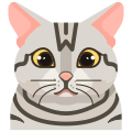 猫 icon