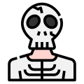 Squelette icon