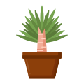 Yucca icon