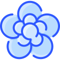 外部クレマチスの花-ヴィタリー-ゴルバチョフ-ブルー-ヴィタリー-ゴルバチョフ-2 icon