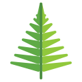 Fern icon