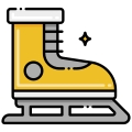 Ice Skates icon