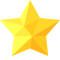 Star Filled icon