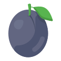 Blackcurrant icon