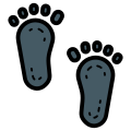 Footprint icon