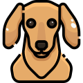 Dog icon