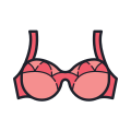 Bra icon