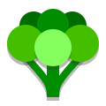 Broccoli icon