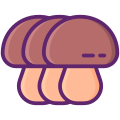 Mushrooms icon