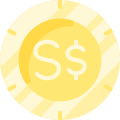 Singapore Dollar icon