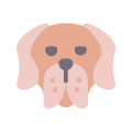 German Rough-Haired Pointer icon