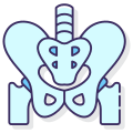 Pelvis icon